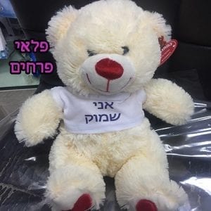 הדפסה על חולצת דובי