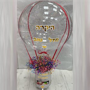 כדור פורח גבסנית צבועה